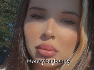 Moneybagbunny