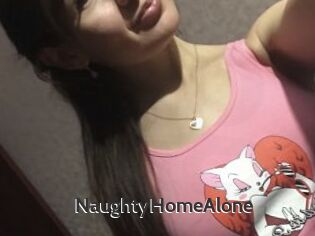 NaughtyHomeAlone