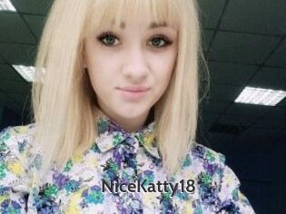 NiceKatty18