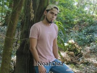 NoahDiaz