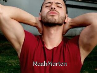 NoahMorton