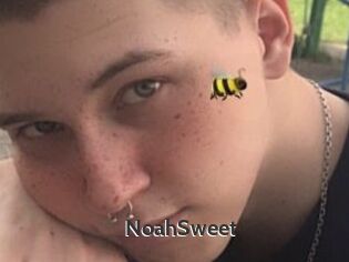 NoahSweet