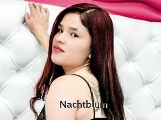 Nachtblum