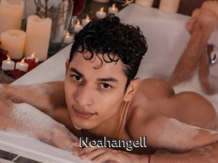 Noahangell