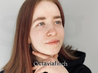 Octaviafinch