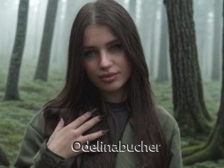 Odelinabucher