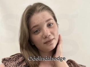 Odelindahedge