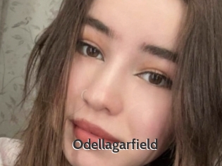 Odellagarfield