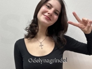Odelynagrindel