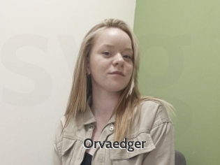 Orvaedger