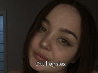 Ottiliegales