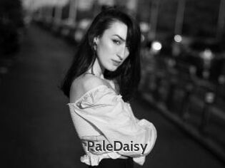 PaleDaisy
