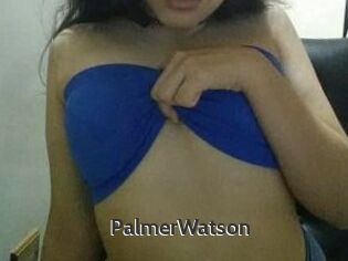 PalmerWatson