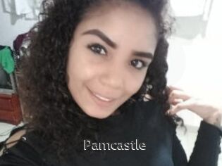 Pamcastle