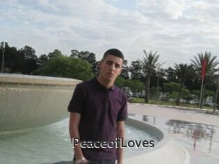 PeaceofLoves