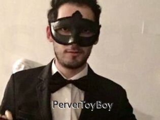 PerverToyBoy