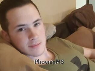 PhoenixMS