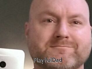 PlayfulDad