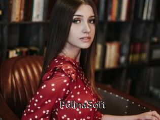 PolinaSoft