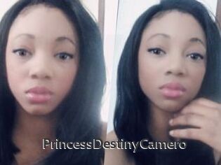 PrincessDestinyCamero