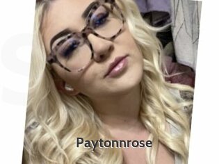 Paytonnrose