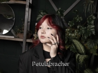Petulabracher