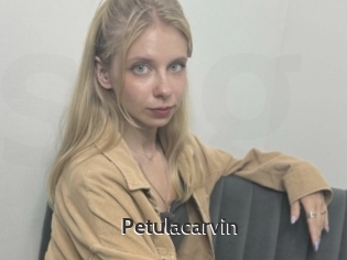 Petulacarvin
