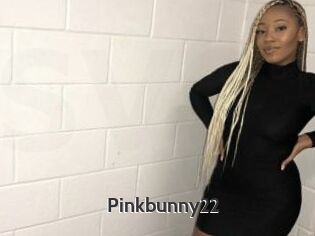 Pinkbunny22