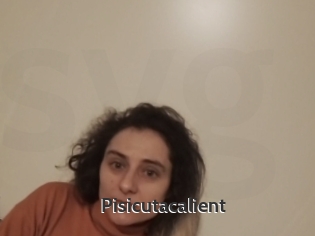 Pisicutacalient
