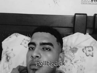 Pollbigdick