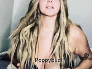 Poppybud