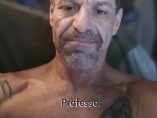 Professor