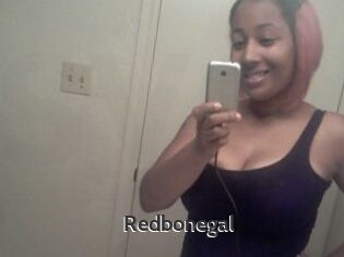 Redbonegal