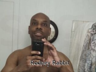 Rodney_Rabbit