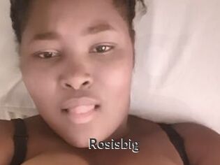 Rosisbig