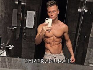SANDRO_MUSCLE