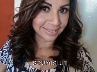 SOUMISLUT