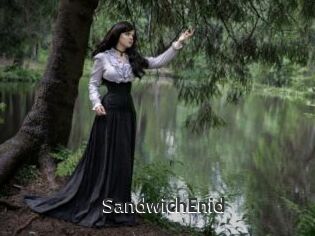 SandwichEnid