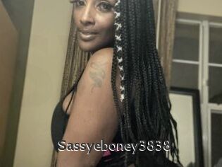 Sassyeboney3838