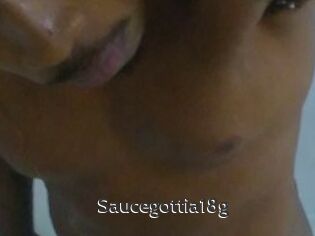 Saucegottia18g