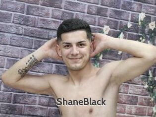 ShaneBlack