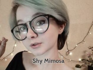 Shy_Mimosa