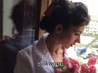 Silkworm