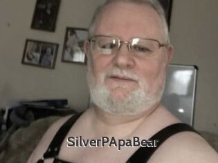 SilverPApaBear