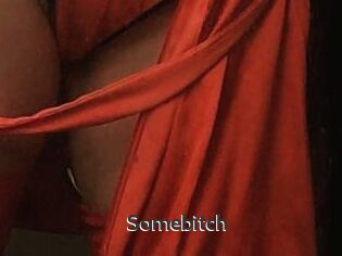 Somebitch