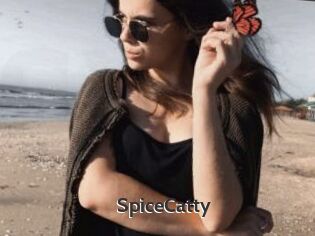 SpiceCatty