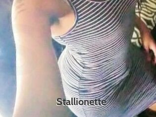 Stallionette