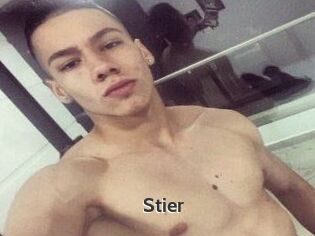 Stier