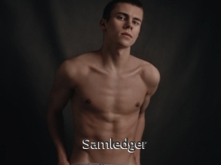 Samledger