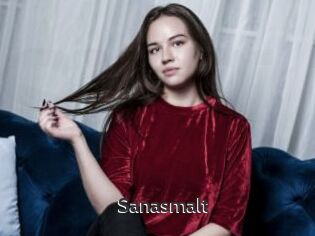 Sanasmalt